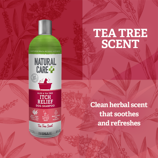 Itchy Dog Shampoo scent