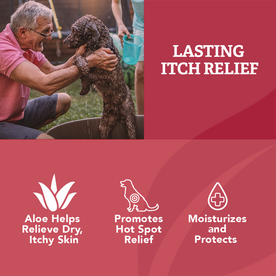 Itchy Dog Shampoo relief