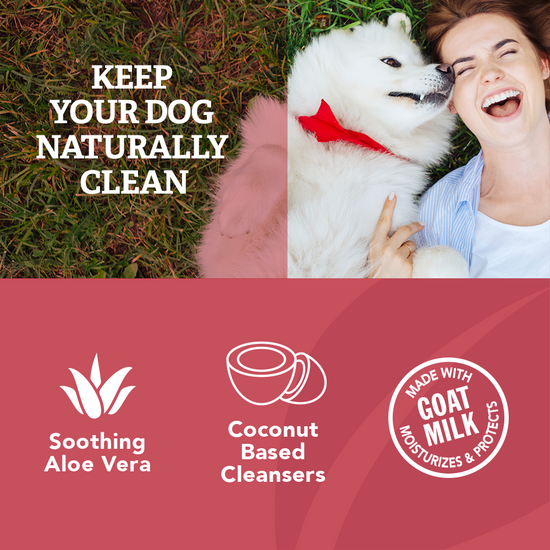 Itchy Dog Shampoo benefits