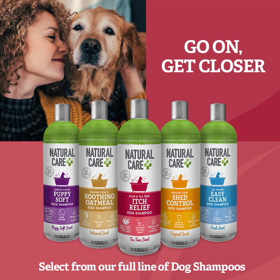 Itchy Dog Shampoo lineup