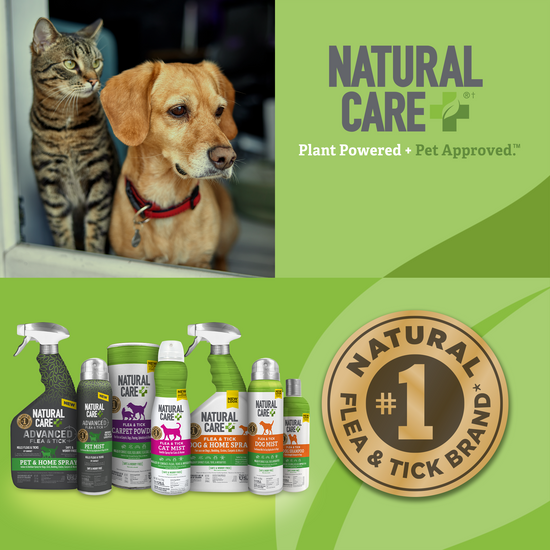 Flea and Tick Home Spray lineup