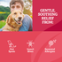 Hot Spot Spray for Dogs relief