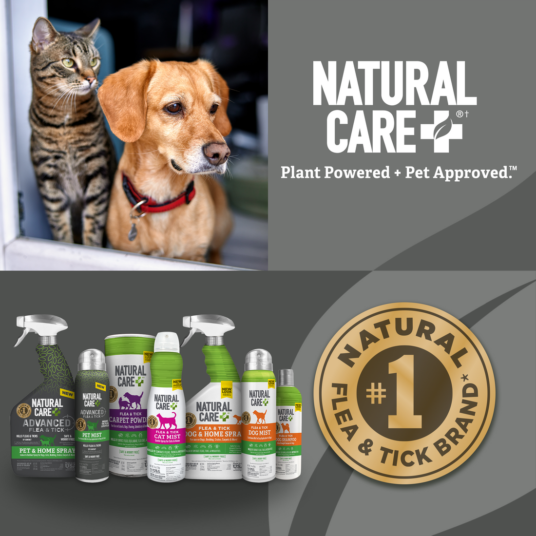 Advanced Flea & Tick Home Spray | Natural Care