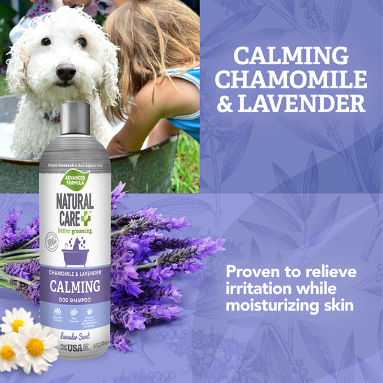 Calming Dog Shampoo ingredients