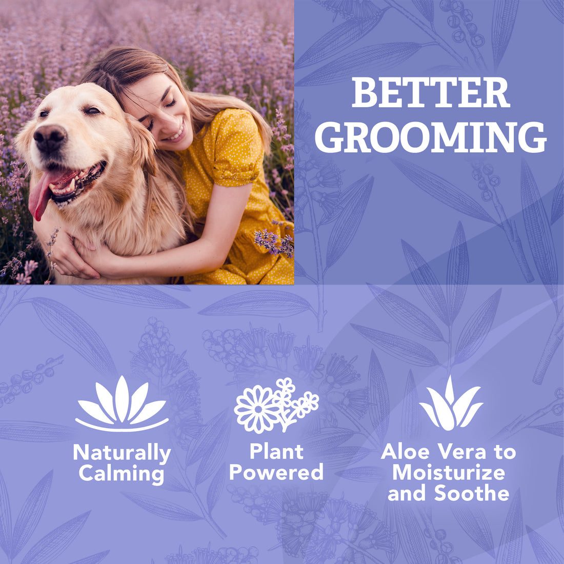 Dog Calming Shampoo Photo Inspiration