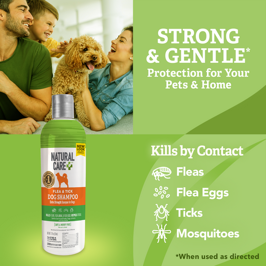 Dog Flea Tick Shampoo Natural Care