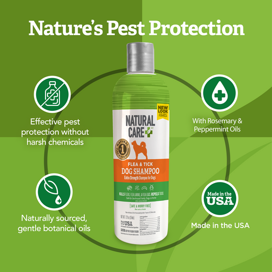 Homemade tick shampoo online