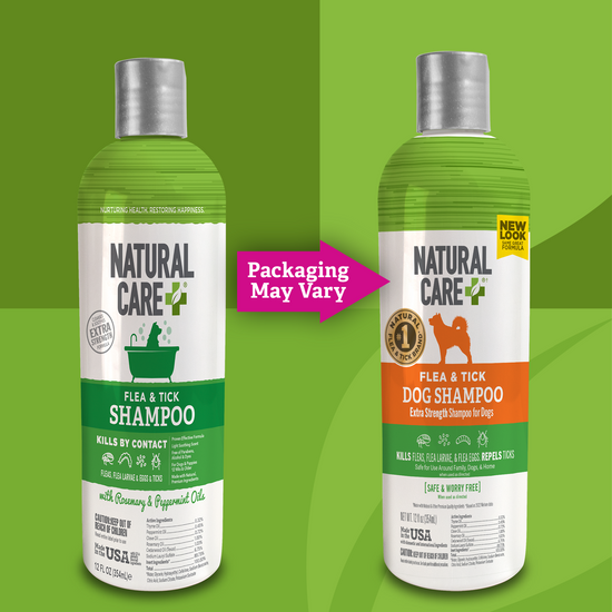 Dog Flea Tick Shampoo Natural Care