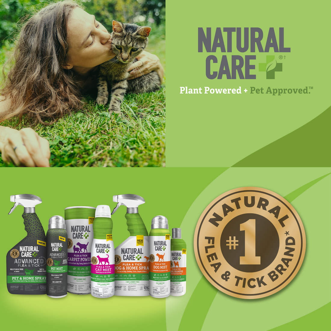 Beautiful view of Non-Medicated Flea Spray For Cats