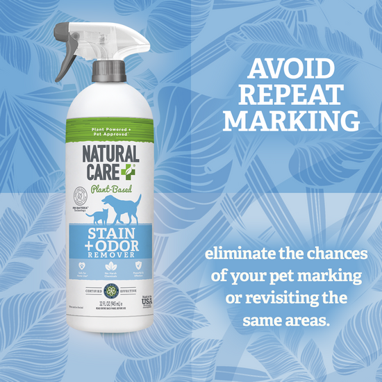 Naturally gone odour and stain remover clearance