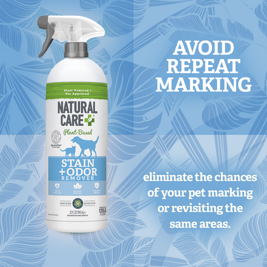 Plant-Based Stain and Odor Remover use