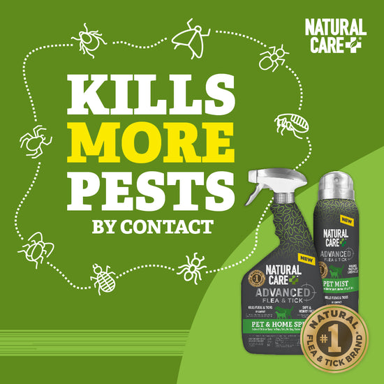 Advanced Flea and Tick Pet & Home Spray, 32 oz kills by contact