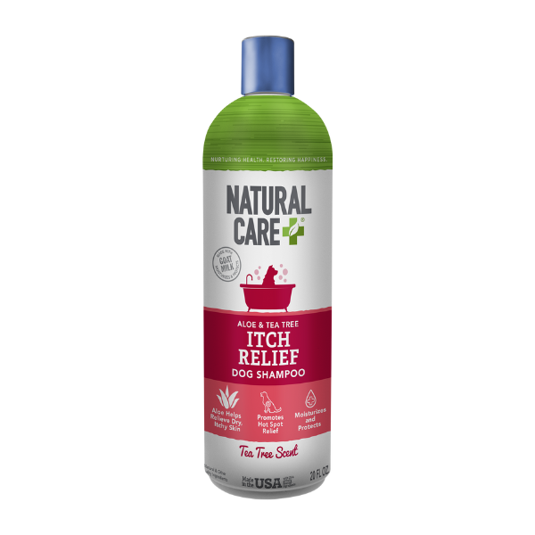 Curated visual reference: Fresh Look at Itchy Dog Shampoo