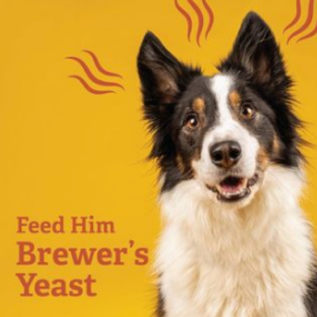 Feed Him Brewers Yeast Image